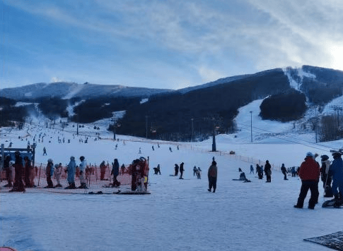 累计接待游, 际布局冰雪