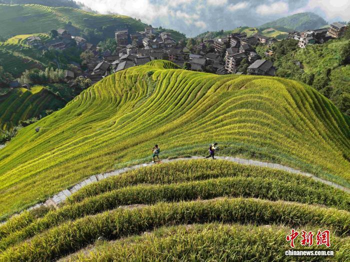 https, 选手们冲过 https, 选手们冲过